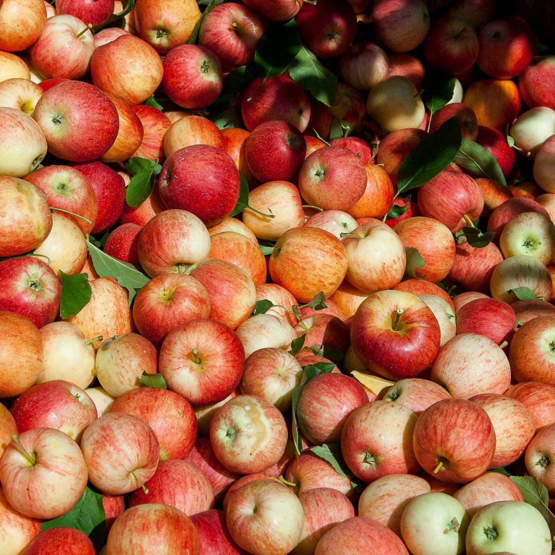 Сезонні продукти: Користь для здоров&#39;я і гаманця